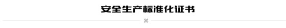 安全生产标准化证书